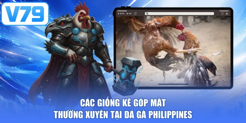 Các giống kê góp mặt thường xuyên tại đá gà Philippines