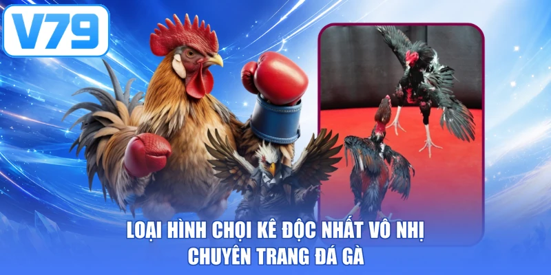 Loại hình chọi kê độc nhất vô nhị chuyên trang đá gà