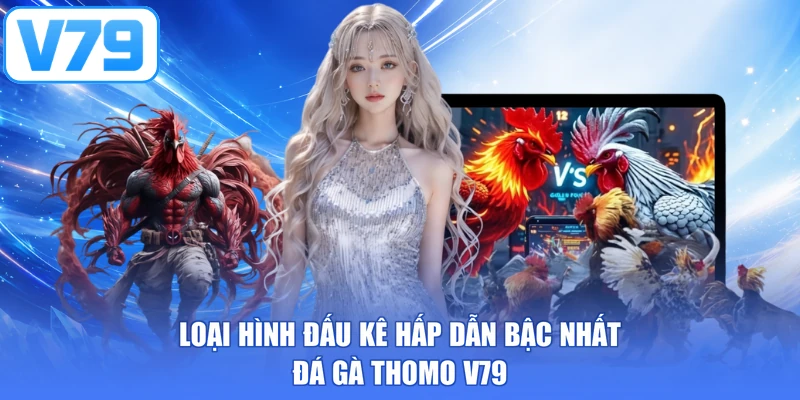 Loại hình đấu kê hấp dẫn bậc nhất đá gà Thomo V79